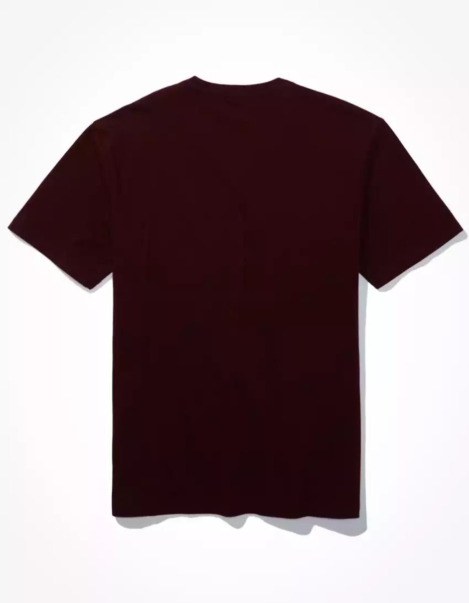 T Shirts American Eagle AE Super Soft Legend V-Neck Bordeaux Homme | EPW-46216862